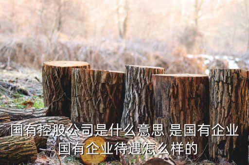 政府控股公司是什么，國有控股公司是什么意思 是國有企業(yè)  國有企業(yè)待遇怎么樣的