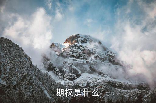 授予期權(quán)是什么意思，無償授予股票期權(quán)是什么意思