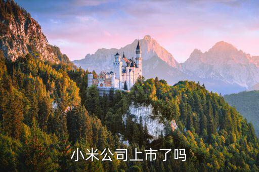 11月5什么手機上市公司，除了小米還有哪些手機公司上市了