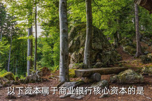 商業(yè)銀行核心資本是什么，商業(yè)銀行的核心資產(chǎn)包括哪些謝謝