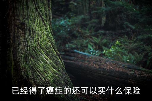 癌癥病人能買什么險，癌癥患者能參加什么保險