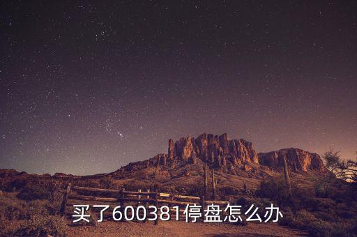 600381為什么被st，買了600381停盤(pán)怎么辦