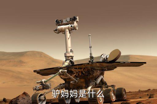 驢媽媽是什么模式，驢媽媽是什么
