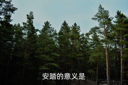 私募應(yīng)安踏在世界上有什么地位，私募在社會各界人士心目中的地位如何