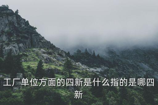 四新企業(yè)是什么，工廠單位方面的四新是什么指的是哪四新