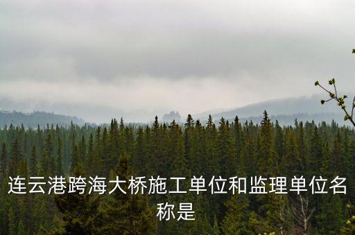 中交二航局什么平大橋，泰州長(zhǎng)江公路大橋施工單位是