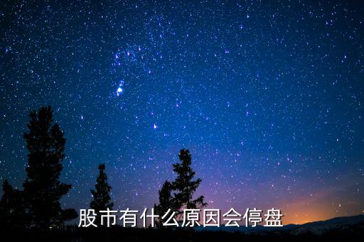 002203為什么停盤，股市有什么原因會停盤