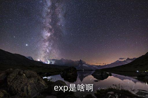 expd是什么意思，exp是啥啊