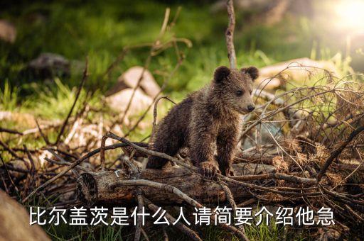 比爾蓋茨是個(gè)什么樣的人，比爾蓋茨是什么族裔的人