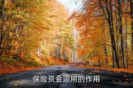 保險(xiǎn)資金運(yùn)用余額什么意思，保險(xiǎn)每年的資金運(yùn)用余額具體是什么