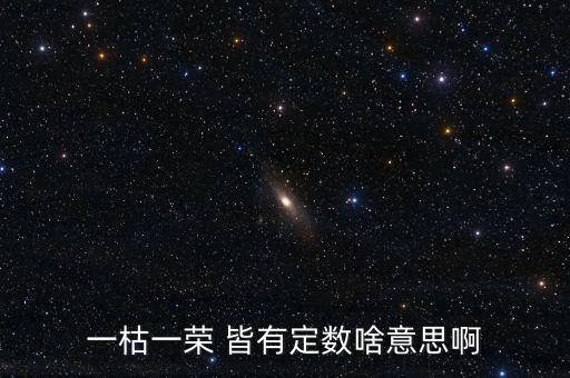 一枯一榮是什么意思，一枯一榮 皆有定數(shù)啥意思啊