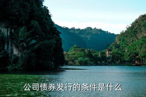 公司公開發(fā)行公司債券的條件是什么，公開發(fā)行公司債券的條件