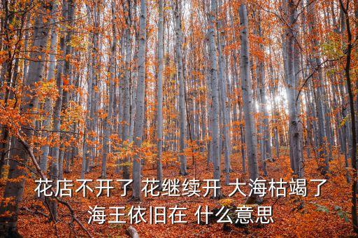  花店不開了 花繼續(xù)開 大?？萁吡?海王依舊在 什么意思