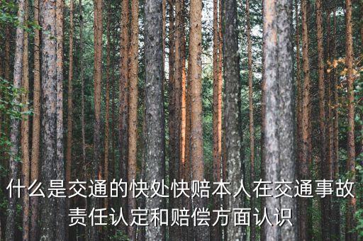 車險快賠是什么，汽車快賠是什么意思
