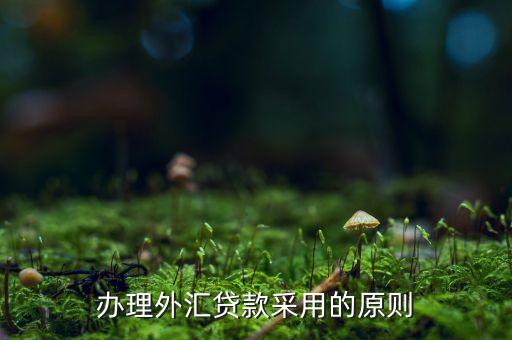 貸款三查指什么，銀行貸款三查不嚴(yán)能使貸款合同無效嗎