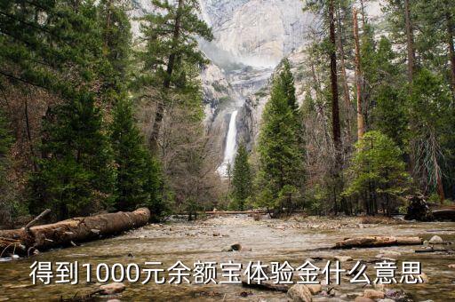 1000余額寶體驗金是什么，得到1000元余額寶體驗金什么意思