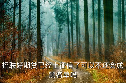 好期貸上征信怕什么，在招聯(lián)好期袋貸上面借錢都有按時(shí)歸還會(huì)上征信嗎會(huì)不會(huì)對(duì)以