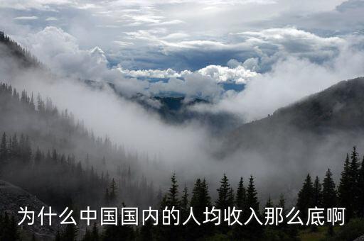為什么中國工資，為什么中國國內(nèi)的人均收入那么底啊