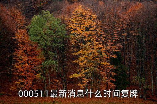 天舟文化什么時(shí)候復(fù)盤，又問天舟什么時(shí)候復(fù)盤