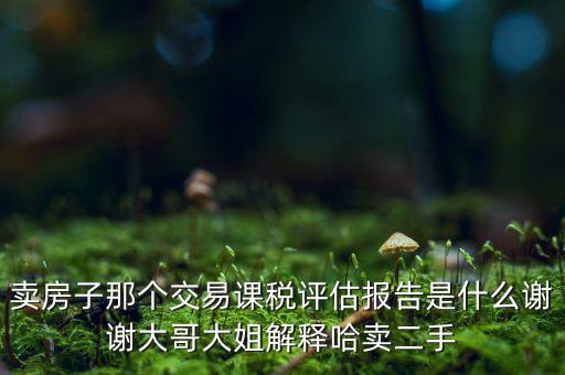 交易課稅是什么意思，名詞解釋證券交易稅