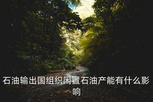 石油私有化后果是什么，大家覺(jué)得石油私有化有可能么