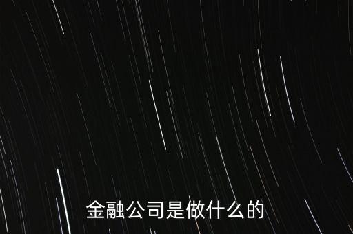美國住宅金融公司是干什么的，房地美和房利美在美國算什么性質的金融機構