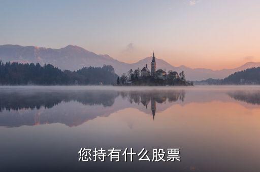 樊淑珍持有什么股，香港中央代理人持有哪些股票
