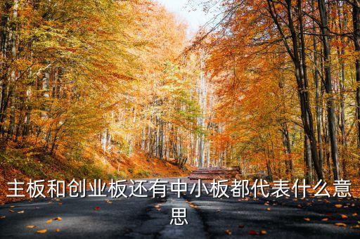 滬市主板是什么意思，什么是主板中小板和創(chuàng)業(yè)板它們都是干什么的請用白話簡短精