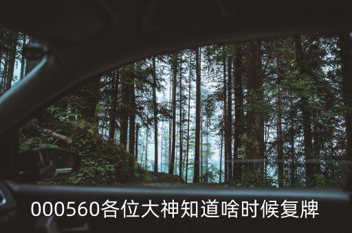 茂碩電源什么時間復牌，今天茂碩電源002660怎么停牌了什么時候開盤