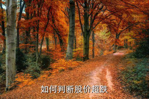 超跌反彈波段看什么線，現(xiàn)在股票是否反彈應(yīng)該關(guān)注那線股票好呢