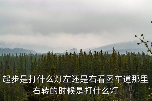 駕駛打右燈和左燈什么意思啊，起步是打什么燈左還是右看圖車道那里右轉(zhuǎn)的時(shí)候是打什么燈