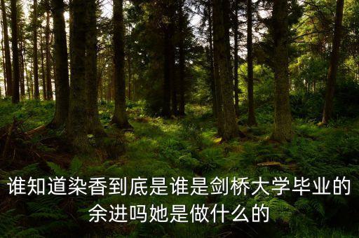 麥肯錫合伙人是什么，誰知道染香到底是誰是劍橋大學畢業(yè)的余進嗎她是做什么的