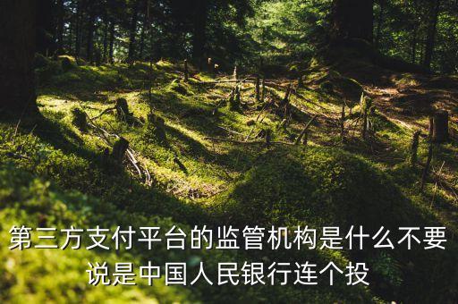 第三方支付平臺(tái)由什么機(jī)構(gòu)授權(quán)，第三方支付平臺(tái)的監(jiān)管機(jī)構(gòu)是什么不要說(shuō)是中國(guó)人民銀行連個(gè)投