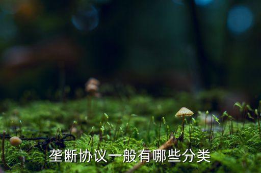 什么是縱向壟斷協(xié)議，壟斷協(xié)議一般有哪些分類