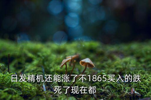 日發(fā)精機(jī)為什么一直跌，002009 怎么老跌呀