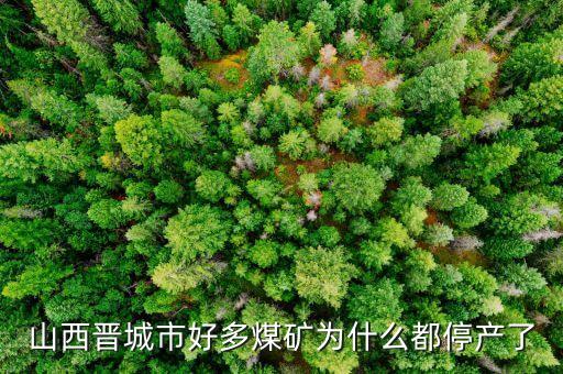 為什么礦山現(xiàn)在停產(chǎn)，為什么現(xiàn)在的礦業(yè)幾乎全部停產(chǎn)