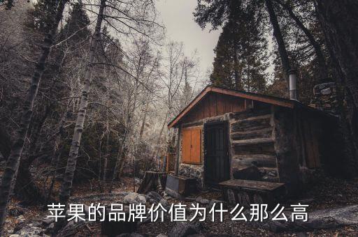 蘋果市值為什么那么高，蘋果的品牌價值為什么那么高