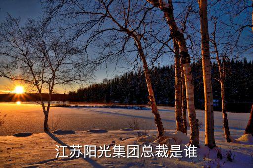 吳惠良在陽(yáng)光集團(tuán)任什么職，江蘇陽(yáng)光集團(tuán)總裁是誰(shuí)