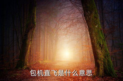 什么是包機航班，包機直飛是什么意思
