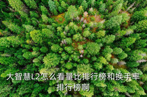確信買入是什么意思，港股評級確信買入名單 是什么意思