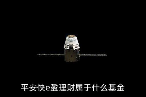 519173是什么基金，我發(fā)現(xiàn)基金有各種代碼有125等開頭的每種開頭都是什么含義