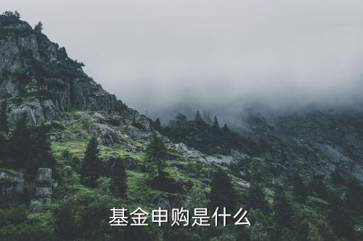 基金申購什么意思，基金支取基金申購什么意思