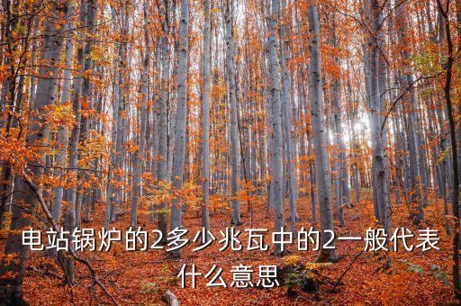 電站兆瓦什么意思，兆瓦是哪一個(gè)物理量的單位發(fā)電能力達(dá)45兆瓦說明什么意思