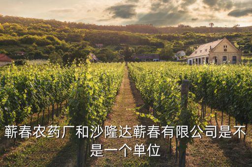 蘄春汪潮涌投資了什么，蘄春農(nóng)藥廠和沙隆達(dá)蘄春有限公司是不是一個單位