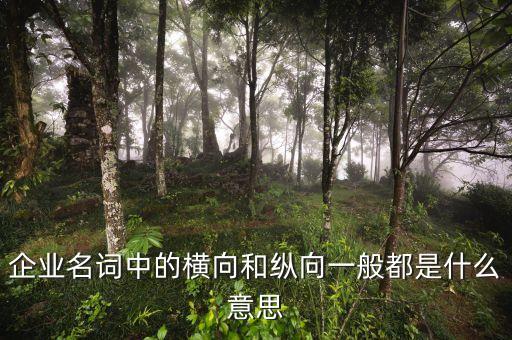 什么是企業(yè)橫向發(fā)展，什么是橫向一體化