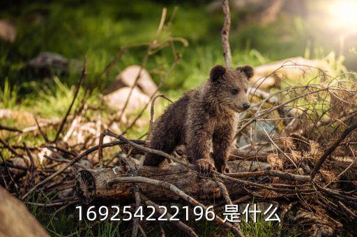 什么是服務(wù)商停用，為什么發(fā)郵件給自己的郵箱會(huì)出現(xiàn)收件人郵件地址被所在服務(wù)商暫時(shí)停
