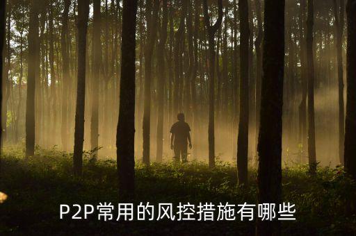 cppi的風控措施是什么，p2p如何風控P2P公司都用什么風控系統(tǒng)