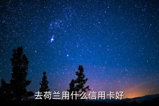 中國荷蘭兩地走要開張什么銀行卡，去歐洲旅游辦張那種的銀行卡方便呢