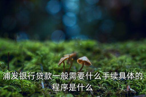浦發(fā)銀行網(wǎng)貸通要什么條件，TB支持浦發(fā)  浦發(fā)開通網(wǎng)銀要什么條件比如要帶點(diǎn)什么的