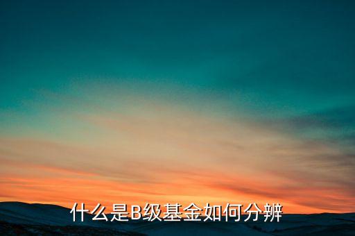 b類基金是什么意思，什么是b類基金